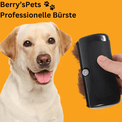 🔥Pet Professional Brush🐶🐱💥