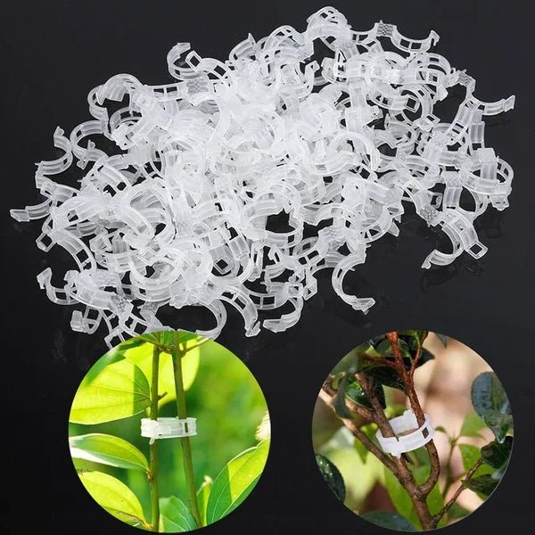 💥2024 Hot Sale 49% OFF💥 Secured Plastic Plant Clip（BUY 3 GET 2 FREE）