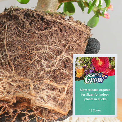 💥Last Day Promotion 49%OFF💥 Slow-Release Organic Fertilizer In Stick Form For Indoor Plants（BUY 5 GET 10 FREE）