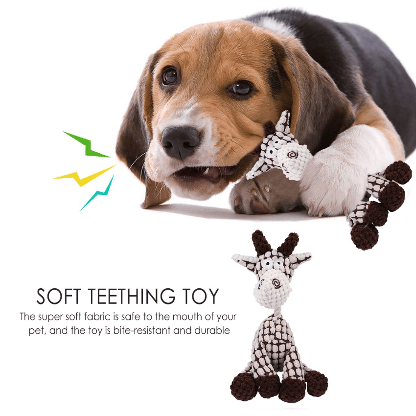 🐾Plush Toy for Your Furry Friend