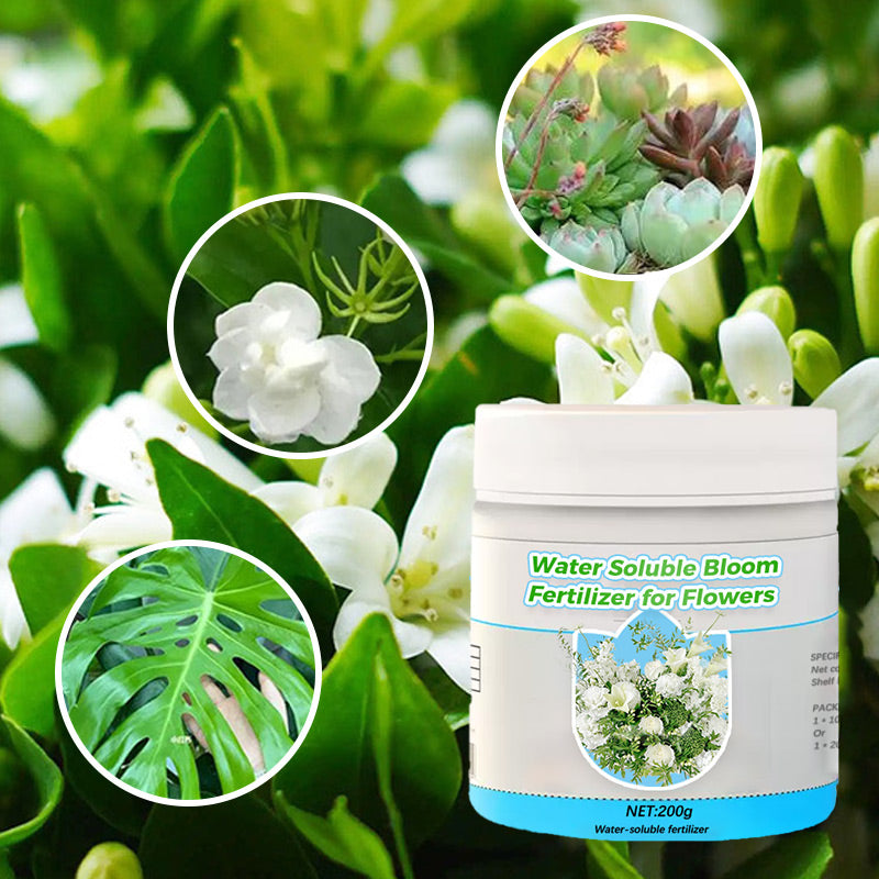 10g/200g Water Soluble Bloom Fertilizer for Flowers