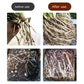 Universal Plant Rapid Rooting Liquid Fertilizer（BUY 3 GET 5 FREE）