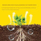 Universal Plant Rapid Rooting Liquid Fertilizer（BUY 3 GET 5 FREE）