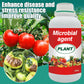 Plant, Melon And Fruit Microbial Bacterial Agent