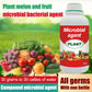 Plant, Melon And Fruit Microbial Bacterial Agent