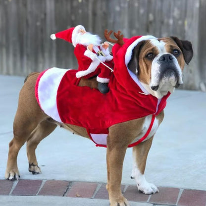 Santa Riding Dog Costume for Christmas