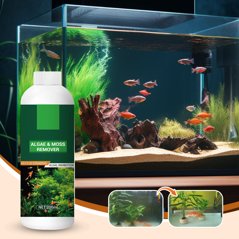 🎉Buy More Save More💥 Algae & Moss Remover for Fish Tank and Fish Pond - Safe Water Purification