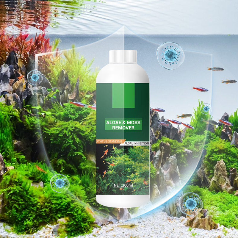 🎉Buy More Save More💥 Algae & Moss Remover for Fish Tank and Fish Pond - Safe Water Purification