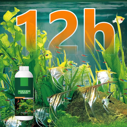 🎉Buy More Save More💥 Algae & Moss Remover for Fish Tank and Fish Pond - Safe Water Purification