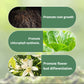 🔥2024 HOT SALE 45% OFF🔥 Slow-Release Organic Fertilizer In Stick Form For Indoor Plants（BUY 5 GET 10 FREE）