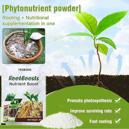 🎇New Year Hot Sale 49% OFF🎇 Plant Hair Root Growth Nutrition Powder（BUY 5 GET 10 FREE）
